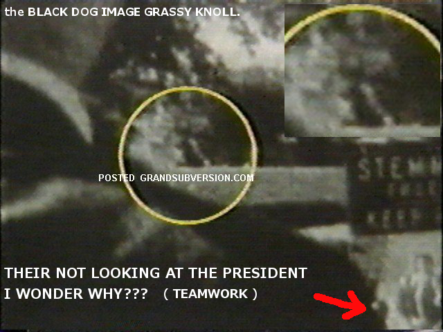 black dog jfk kennedy assassination grassy knoll dealey plaza dallas photo 00